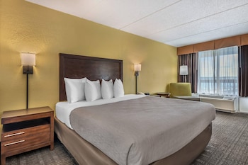 Standard Room, 1 King Bed, Non Smoking