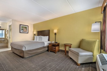 Standard Room, 1 King Bed, Non Smoking