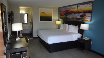 Room, 1 King Bed, Non Smoking
