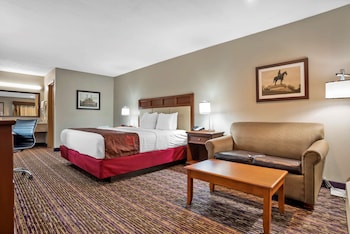 Standard Room, 1 King Bed, Accessible, Bathtub