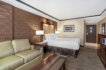 Standard Room, 1 Queen Bed, Accessible, Non Smoking (with Sofabed)