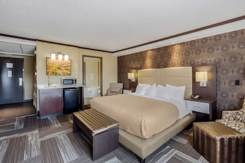 Standard Room, 1 King Bed, Non Smoking (Walk-in Shower)