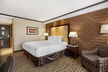 Standard Room, 1 King Bed, Non Smoking (Walk-in Shower)