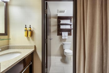Standard Room, 1 King Bed, Non Smoking (Walk-in Shower)