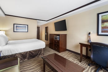 Standard Room, 1 Queen Bed, Accessible, Non Smoking (with Sofabed)