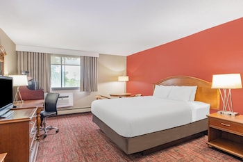 Room, 1 King Bed, Non Smoking
