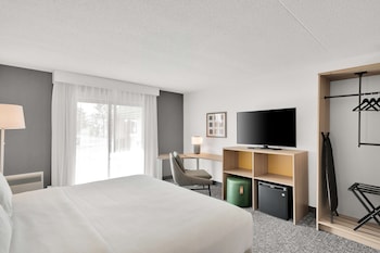 Room, 1 King Bed, Accessible, Bathtub (Mobility & Hearing)