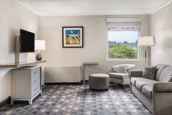 Suite, 1 Bedroom