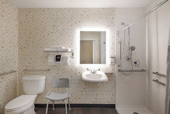 Standard Room, 1 Double Bed, Accessible (Mobility, Roll-In Shower)