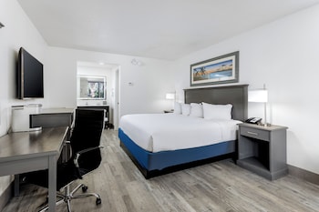 Room, 1 King Bed