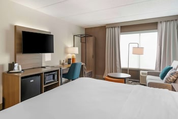 Standard Room, 1 King Bed, Non Smoking (Jacuzzi Tub)