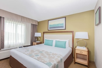 Standard Room, 1 King Bed, Smoking