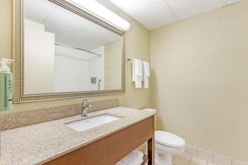 Standard Room, 1 King Bed, Non Smoking, Refrigerator & Microwave (Oversized Room)