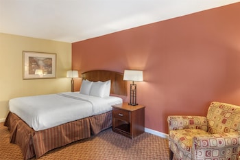 Standard Room, 1 King Bed, Smoking, Refrigerator & Microwave