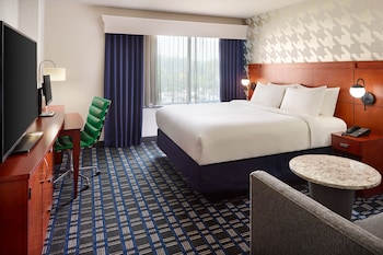 Room, 1 King Bed with Sofa bed