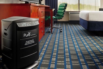 Room, 1 King Bed