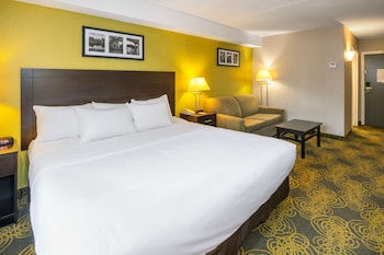 Suite, 1 King Bed, Non Smoking, Jetted Tub (1 Person Jetted Tub)