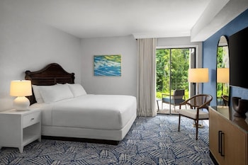 Suite, 1 Bedroom (1 King Bed)