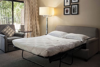 Studio, 1 King Bed, Kitchenette (1 Sofa bed)