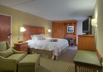 Room, 1 King Bed, Non Smoking