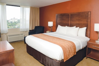 Suite, 1 King Bed with Sofa bed, Jetted Tub, River View