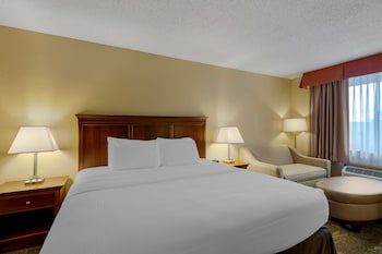 Standard Room, 1 King Bed, Non Smoking, Refrigerator & Microwave (with Sofabed)