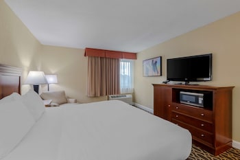 Standard Room, 1 King Bed, Non Smoking, Refrigerator & Microwave