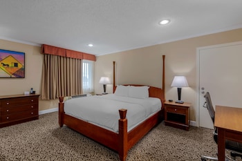 Executive Suite, 1 King Bed, Non Smoking, Kitchenette