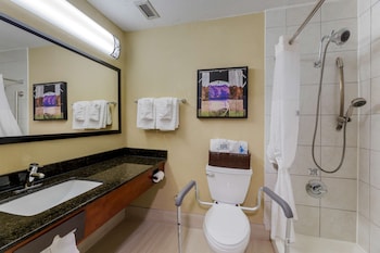 Standard Room, 2 Double Beds, Accessible, Refrigerator & Microwave (Walk-in Shower)