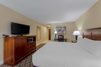 Standard Room, 1 King Bed, Non Smoking, Refrigerator & Microwave
