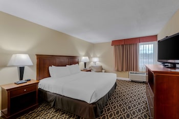 Standard Room, 1 King Bed, Non Smoking, Refrigerator & Microwave (with Sofabed)