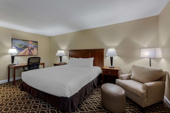 Standard Room, 1 King Bed, Non Smoking, Refrigerator & Microwave