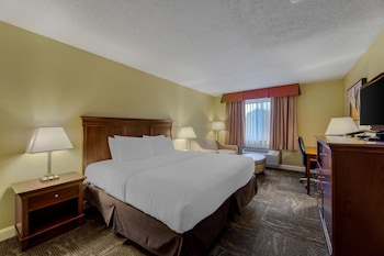 Standard Room, 1 King Bed, Non Smoking, Refrigerator & Microwave (with Sofabed)