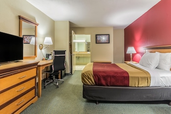 Standard Room, 1 King Bed, Smoking