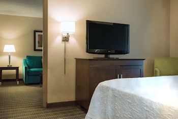 Suite, 1 King Bed, Non Smoking