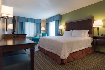 Room, 1 King Bed