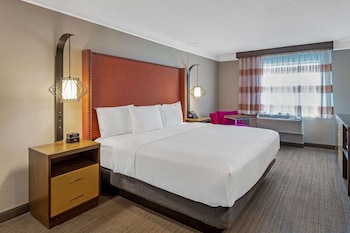 Room, 1 King Bed, Non Smoking (North Building)