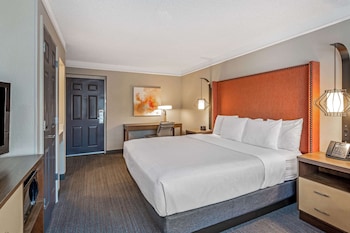 Room, 1 King Bed, Non Smoking