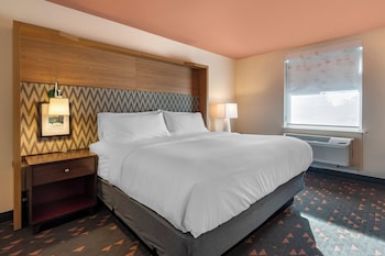 Suite, 1 Bedroom
