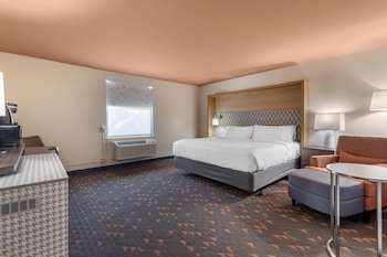 Standard Room, 1 King Bed, Roll-in Shower (Communications Accessible)