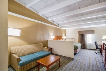 Suite, 1 King Bed with Sofa bed