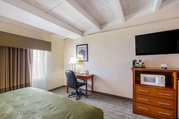 Suite, 1 King Bed with Sofa bed
