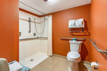 Suite, 1 King Bed, Accessible, Refrigerator & Microwave (Walk-in Shower)