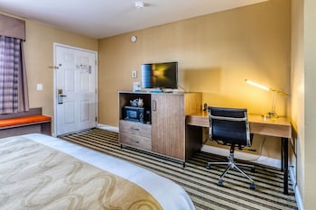Standard Room, 1 King Bed, Non Smoking