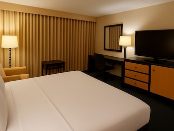 Room, Accessible, Non Smoking