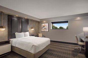 Room, 1 King Bed (Mobility Accessible, Roll-in Shower)