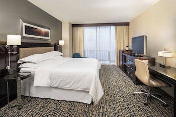 Room, 1 King Bed (Mobility/Hearing Access, Transf Shwr)