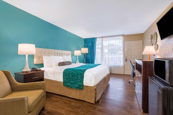 Room, 1 King Bed, Smoking