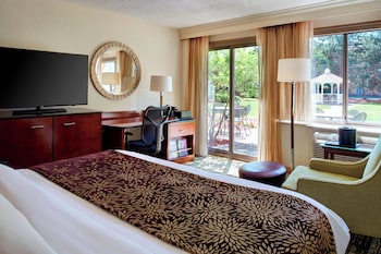 Room, 1 King Bed