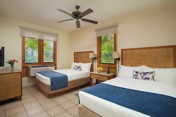 Luxury Villa, 3 Bedrooms, Non Smoking